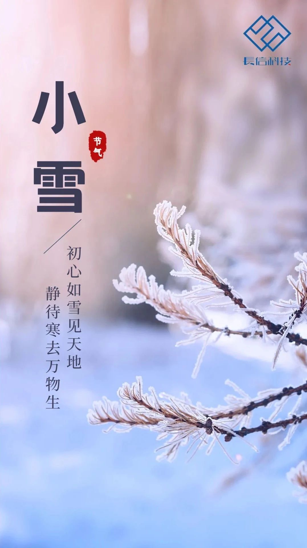 微信圖片_20250725144148.jpg